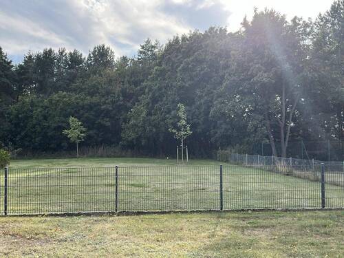 Baufeld - 