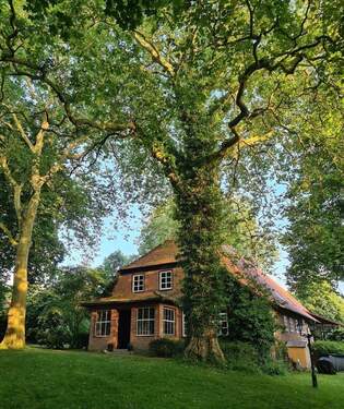 Objektansicht (Norden) - 