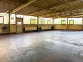 Halle, innen - 