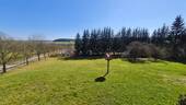 Blick - 