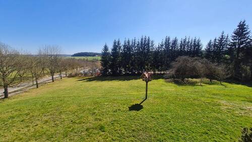 Blick - 