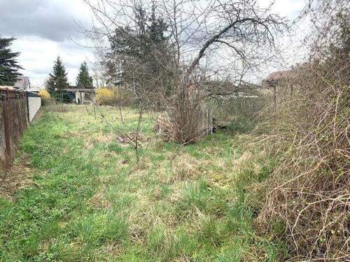 Blick von der Grundstücksmitte - 