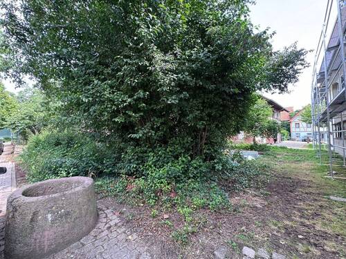 Grundstück Rückseite - 