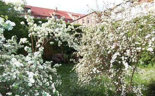 Hofansicht - Etagenwohnung mit 57,00 m&sup2; in Eilenburg zur Miete