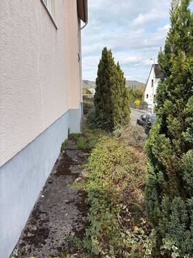 Vorgarten - 