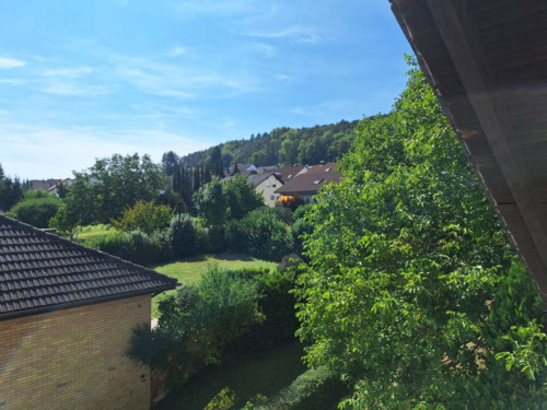 Ausblick - 