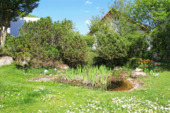 Gartenteich - 