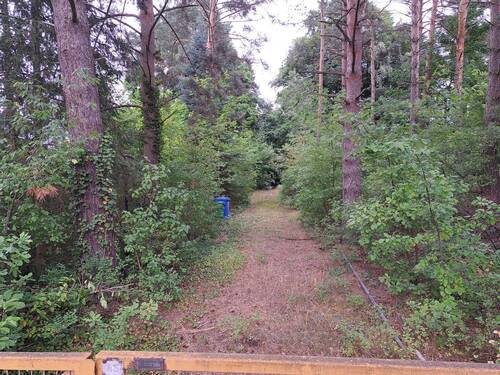 Grundstückszufahrt - Grundstück zum Kaufen in Bestensee
