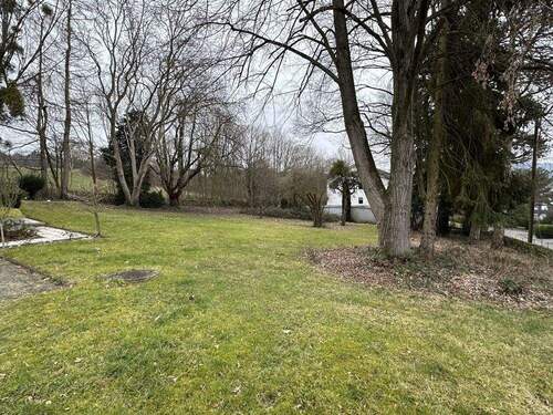 Blick auf das Grundstück - 