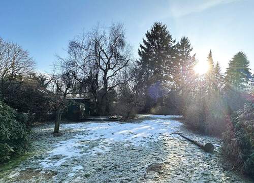 Garten - 3 Zimmer Einfamilienhaus in Hamburg