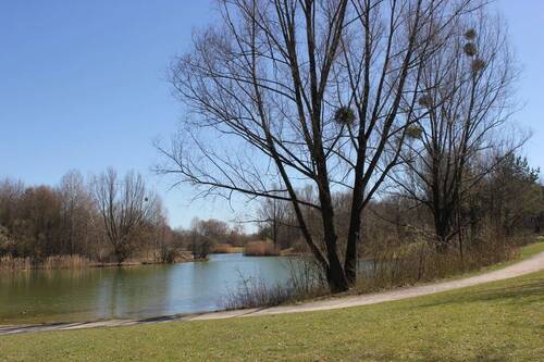 Zamillapark - 