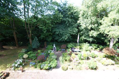 Blick in den Garten - 