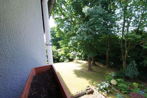 Blick in den Garten - 