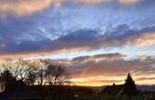 Bild 19 - 