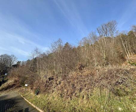 Ansicht - Kaiserslautern - Stadtteil Mölschbach: Schönes Baugrundstück in Ortsrandlage