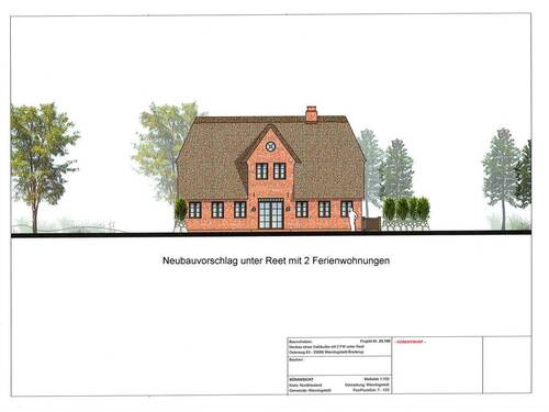 Neubauvorschlag unter Reet - Südseite - 