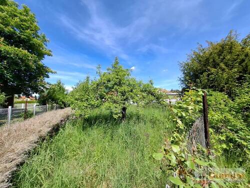 Garten - 