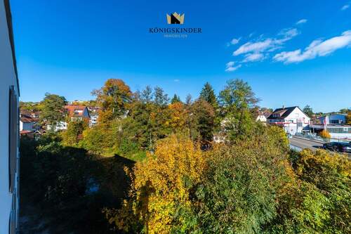 Aussicht ins Grüne - 