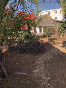 Bild 2 - 5 Zimmer Mehrfamilienhaus, Wohnhaus zum Kaufen in Watamu