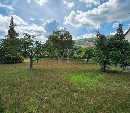 Garten - 
