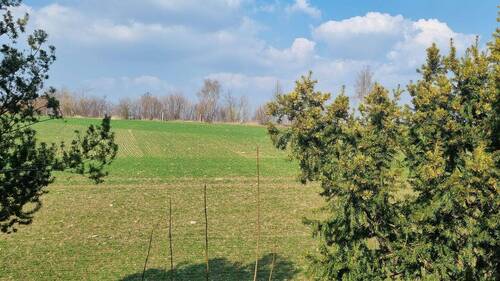 Blick aufs Feld Rückseite Gebäude - Viel Arbeit - aber es lohnt sich!