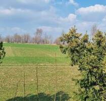Viel Arbeit - aber es lohnt sich! - Radeberg Liegau-Augustusbad