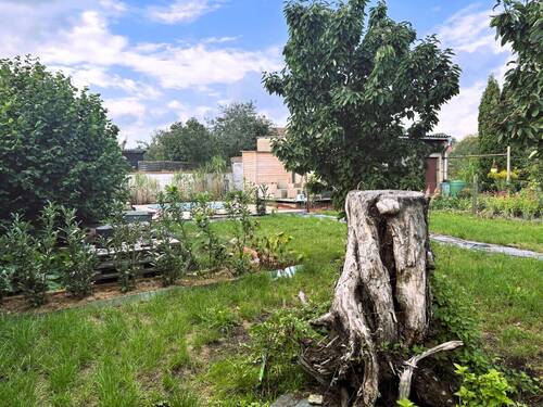 Blick über Grundstück - 