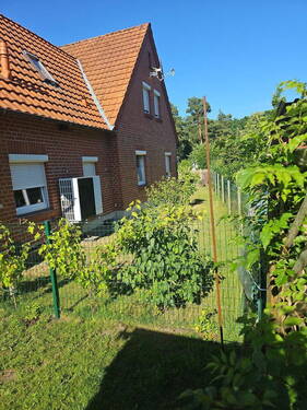Bild 5 - 