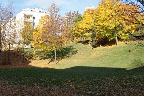 Wohnumfeld/Liegenschaft - 