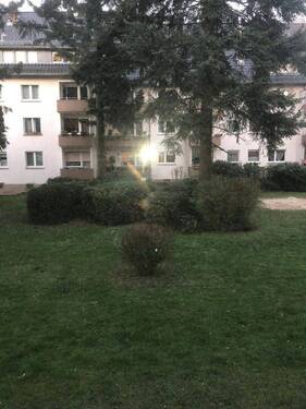 Bild 8 - 