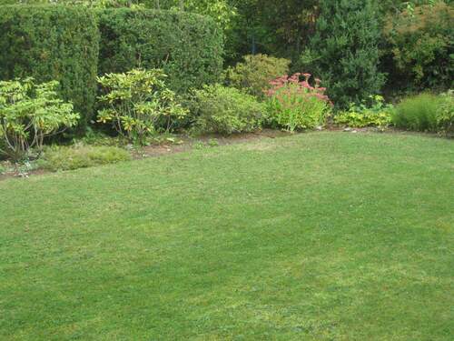 eingewachsenes Grundstück.JPG - 