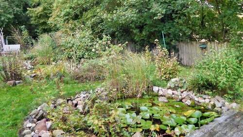 kleiner Gartenteich - 