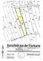 Amtl.Lageplan - 