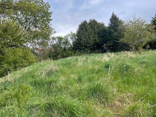 DHMainz128 - Vorschau Grundstück - Doppelhaushälfte mit 140,00 m&sup2; in Erfurt zum Kaufen