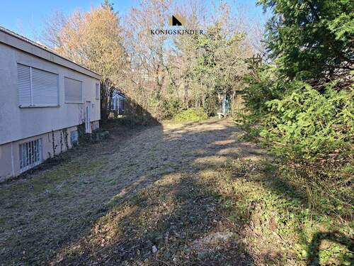 Garten - 4 Zimmer Einfamilienhaus in Böblingen