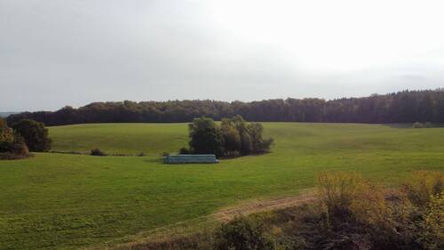 Umliegende Wiesen Grundstück Wittenbeck - 