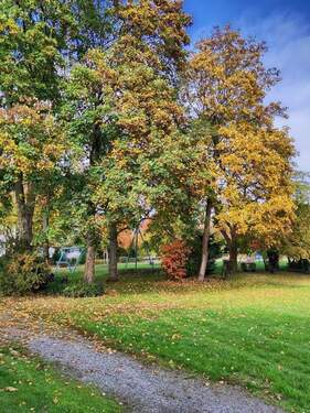 direkt hinterm Haus - 