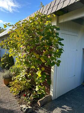 Carport seitlich - 