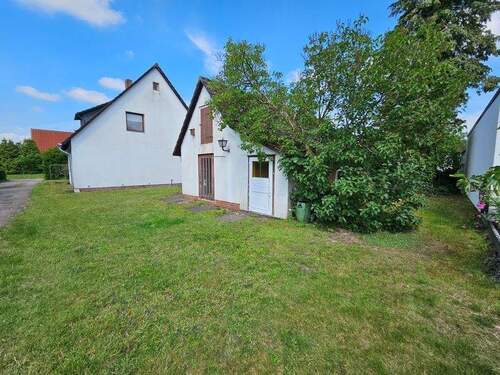 Rückwärtiger Blick - 