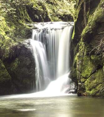 Badische Version der Niagaras - 