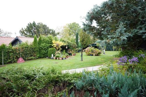 Blick in den Garten - 