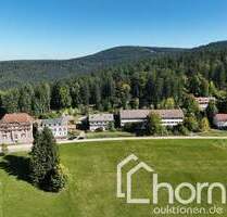 Gebäudeensemble in Alleinlage - ideal für Wohnen - Touristik - Erlebnisdorf - Sasbachwalden