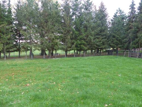 Gartengrundstück - Gartengrundstück im Lampertswalde zu verkaufen