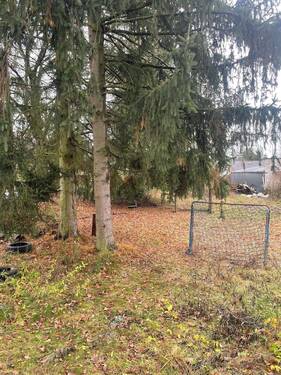 Blick aufs Grundstück_2.jpg - Grundstück zum Kaufen in Neuenhagen bei Berlin