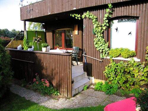 Bungaloweingang mit Terrasse - 
