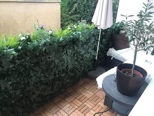 sonniger Balkon - Geräumige 2 Zimmerwohnung mit Süd-Ost-Balkon in Einhausen