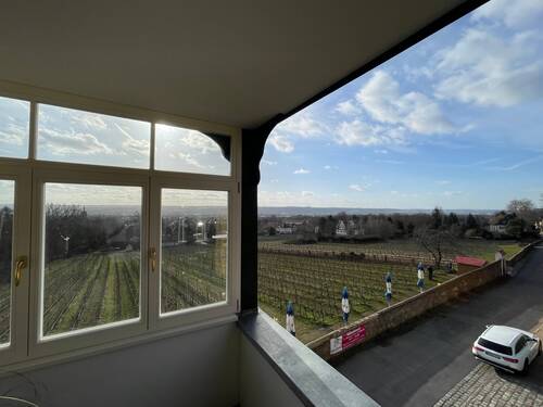 Ausblick vom Wintergarten - 