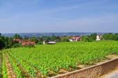 DSC_0465_6_7.jpg - 