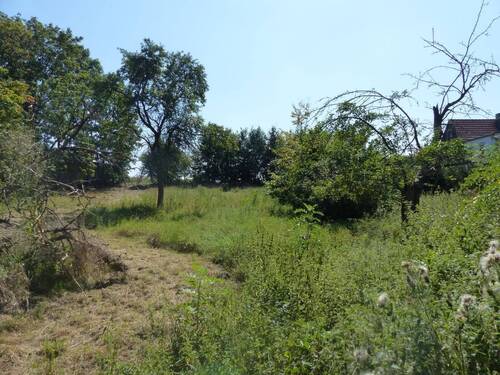 Ansicht 5 - 
