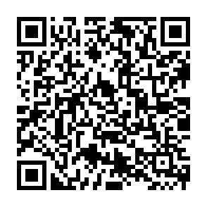 QR-Code - 